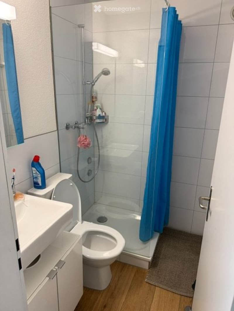 2 Zimmer Wohnung mit sep. Küche 2 Balkonen (5)