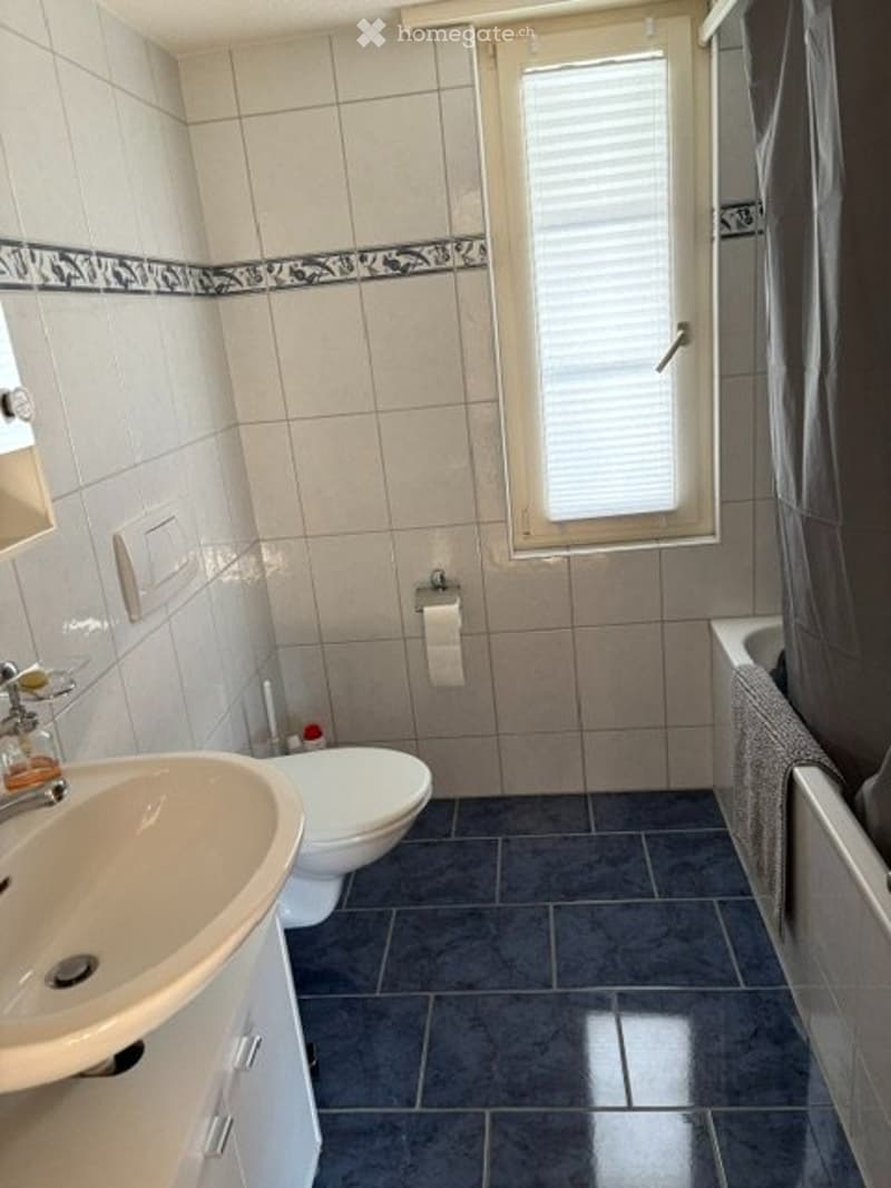 Zu vermieten in Wyssachen sonnige 3-Zimmer Parterre Wohnung (5)