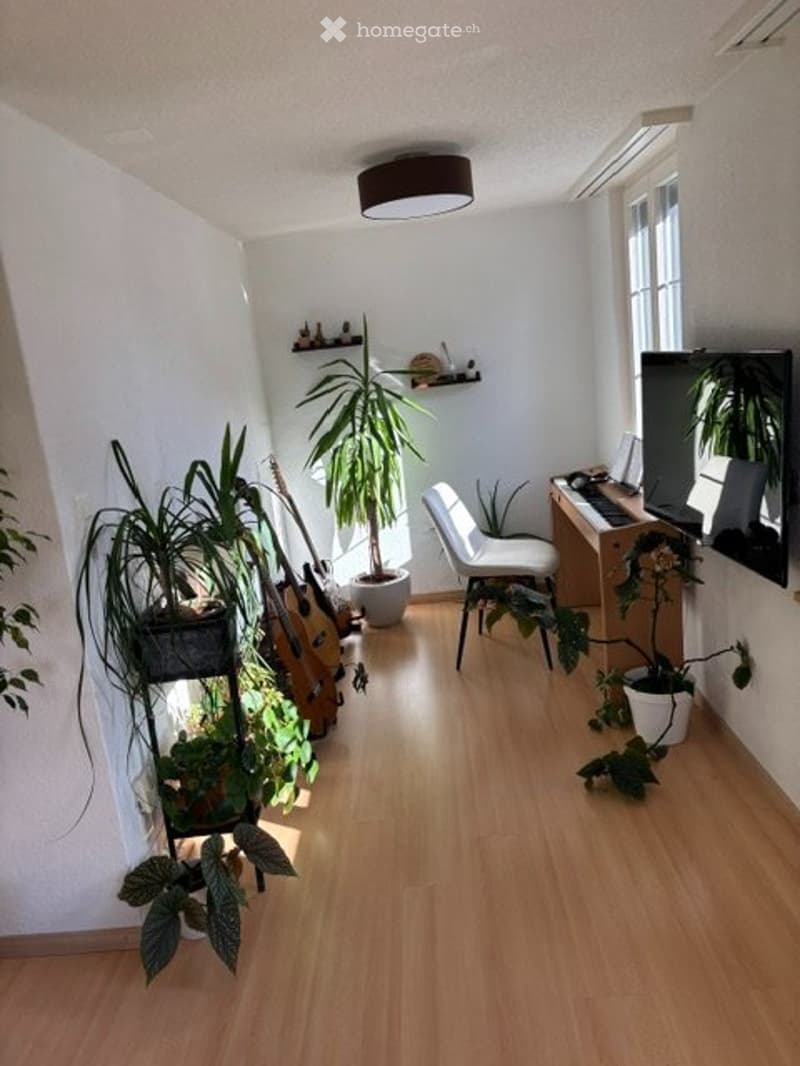 Zu vermieten in Wyssachen sonnige 3-Zimmer Parterre Wohnung (3)