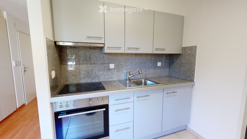 1.5 Zimmer Wohnung mit Seesicht / befristet (4)