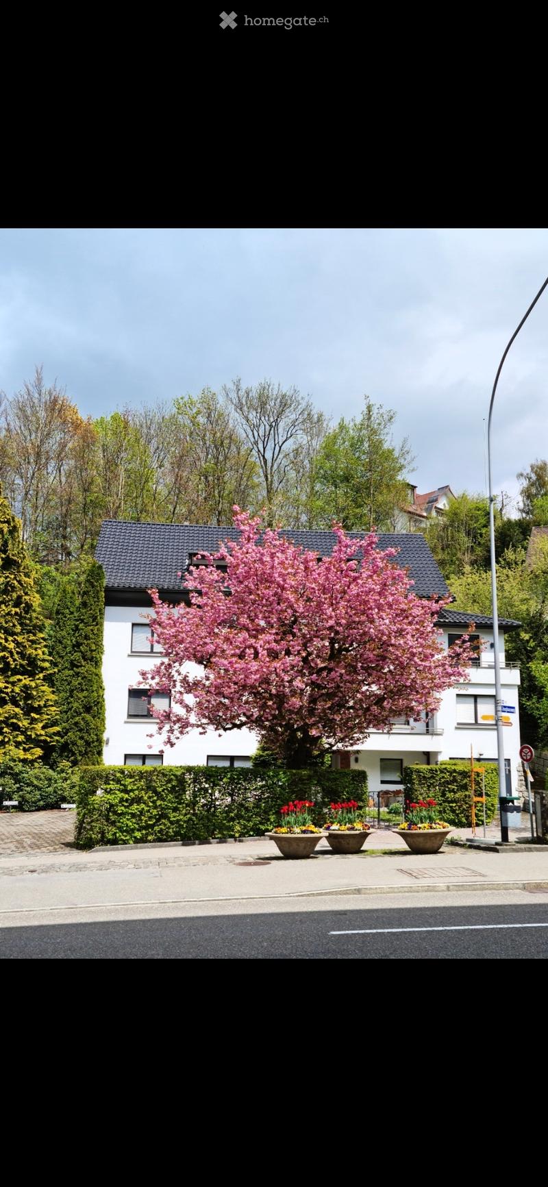 Neue Wohnform gesucht? (1)