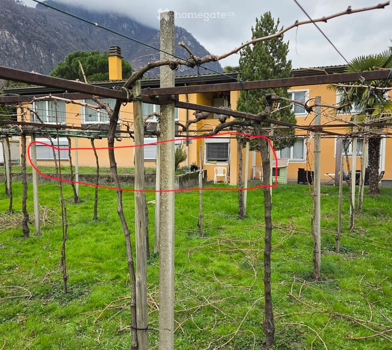 Appartamento Biasca 2.5 (4)