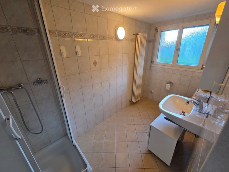 Appartamento Biasca 2.5 (2)