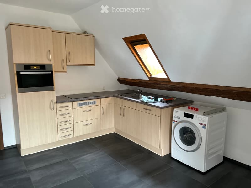 Tolle Altbau Wohnung mit Galerie und grosser Terrasse (4)