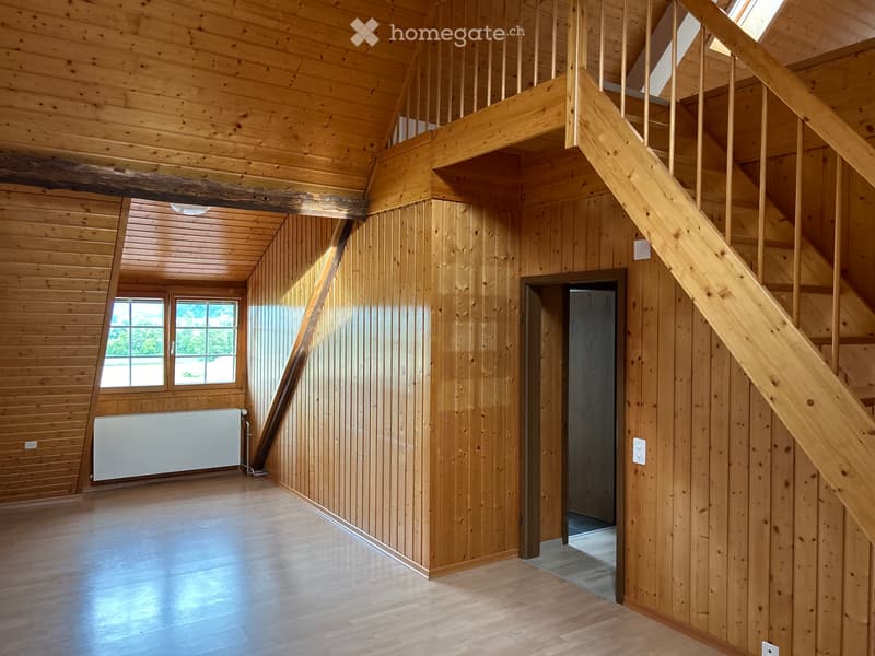 Tolle Altbau Wohnung mit Galerie und grosser Terrasse (3)