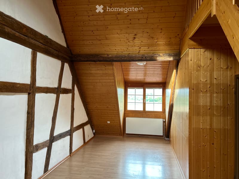 Tolle Altbau Wohnung mit Galerie und grosser Terrasse (5)