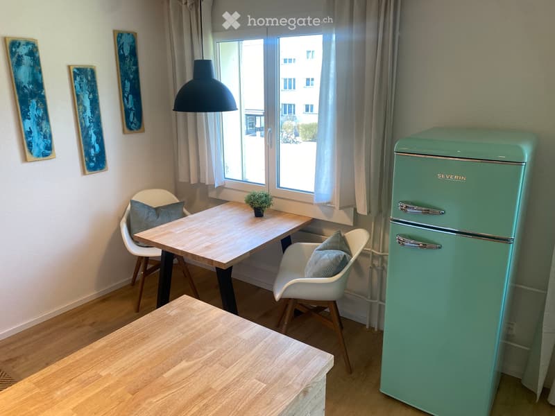 Wohnung Möbiliert (3)
