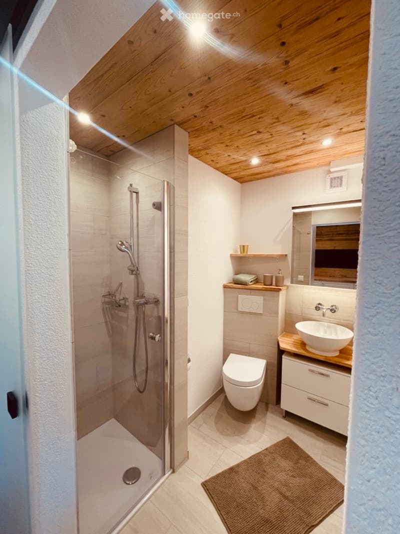 Wohnung Möbiliert (2)