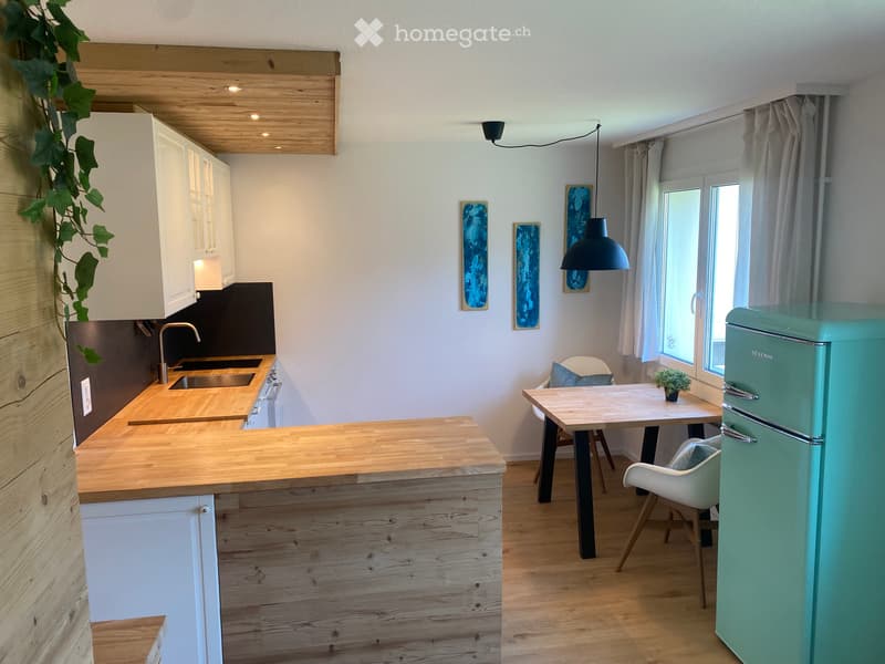 Wohnung Möbiliert (1)