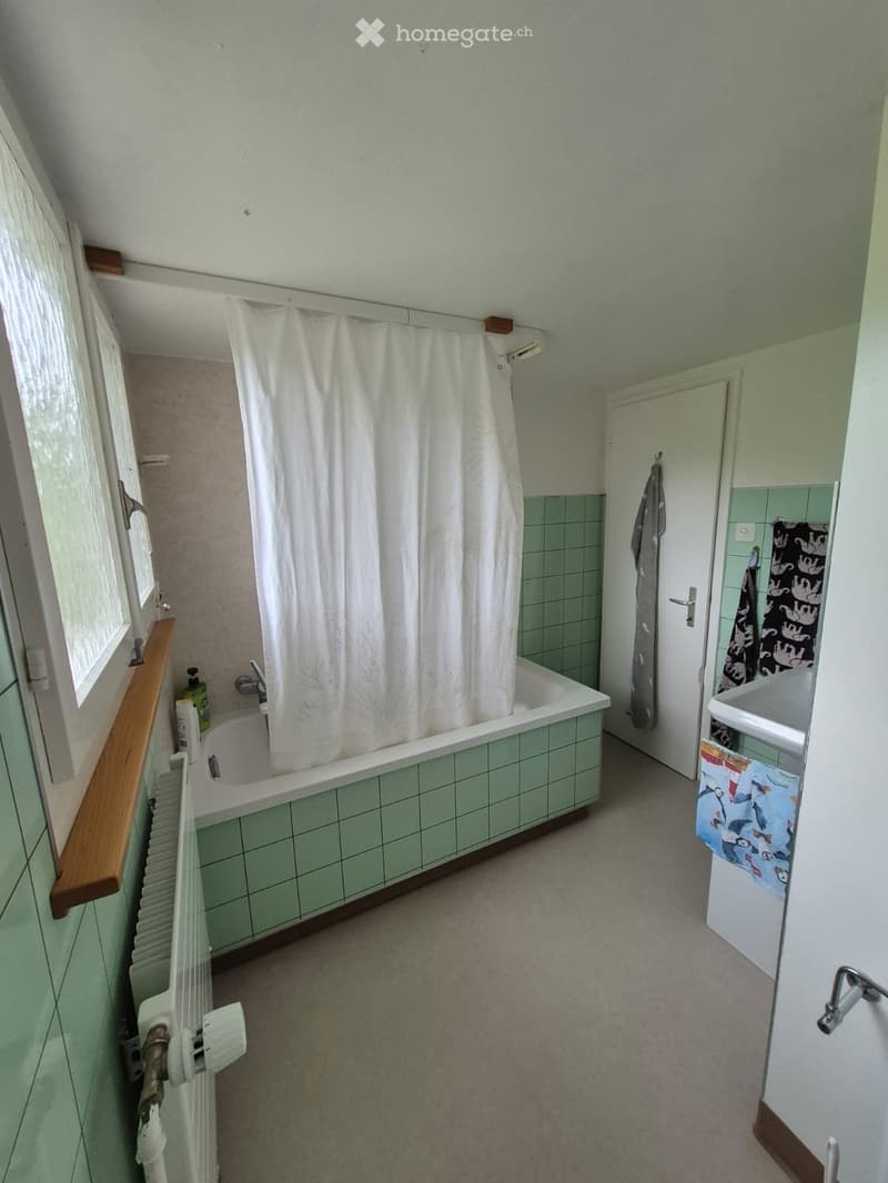 Schöne Wohnung in ruhiger ländlicher Lage nahe St.Gallen (3)