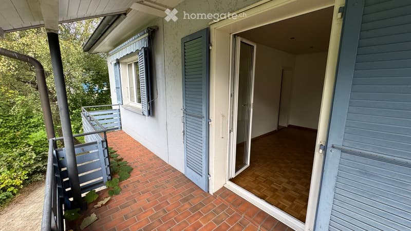 Einfamilienhaus mit grossem Umschwung (3)