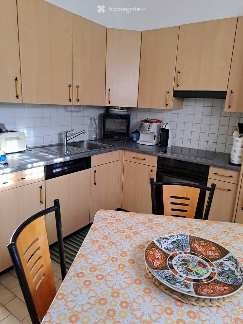 Affittasi Appartamento 3.5 locali (4)