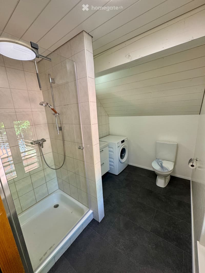 Traumwohnung auf dem Bauernhof (4)