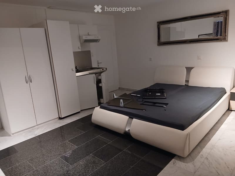 Studiozimmer frisch renoviert und neu möbliert (1)