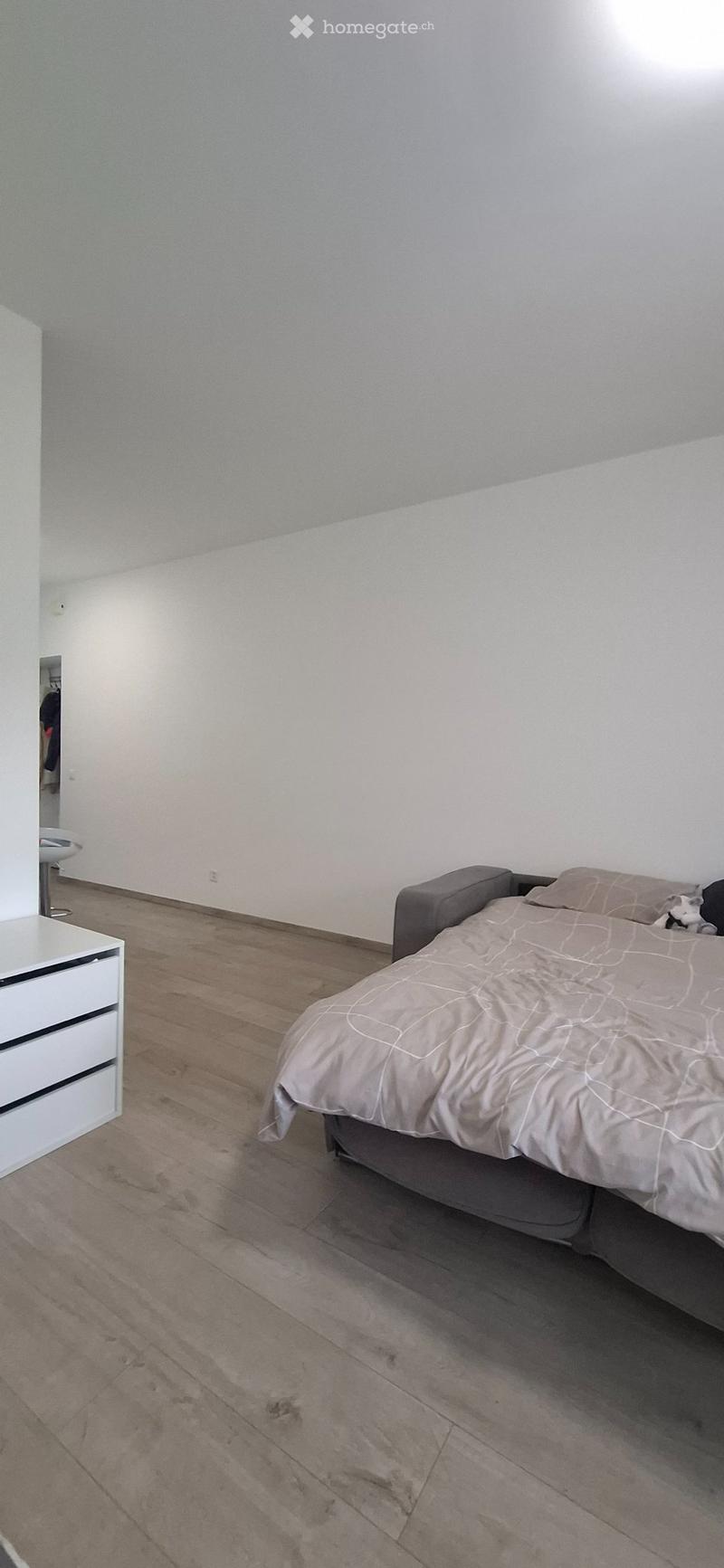Cercasi subentrante per monolocale ammobiliato (4)