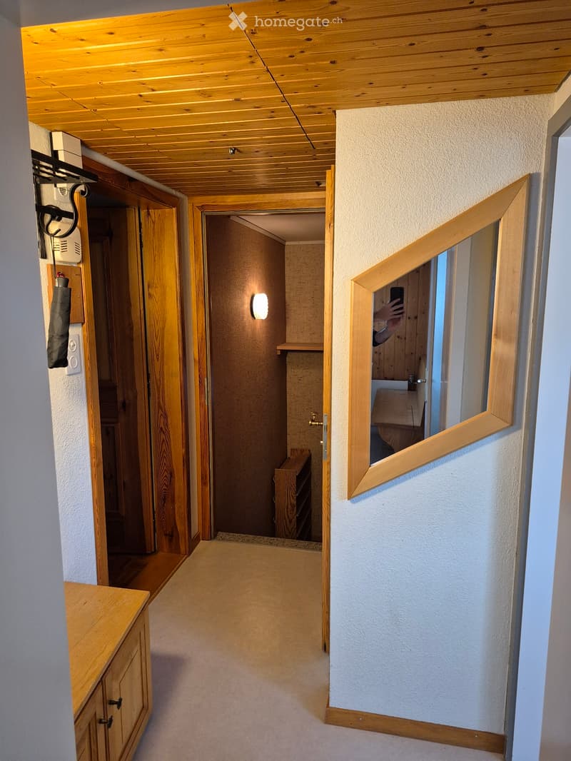 Schöne Wohnung in ruhiger Lage nähe St. Gallen (1)