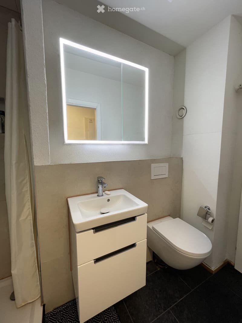 Hochwertig möblierte 1-Zimmer-Wohnung mit Balkon (3)