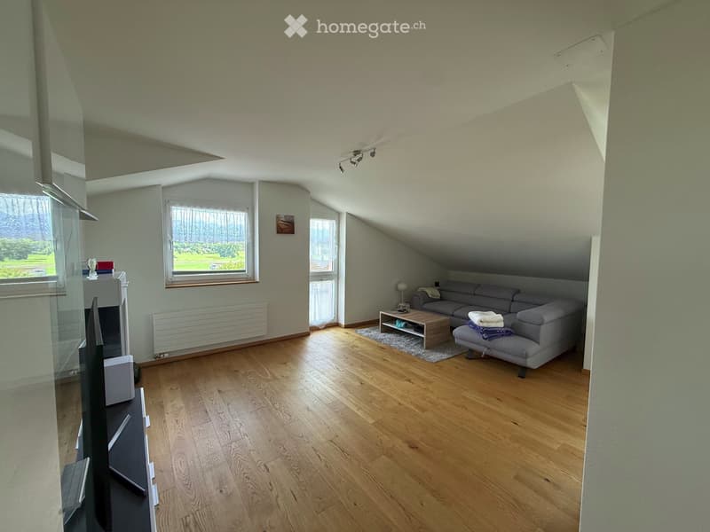 Neuwertige Dachwohnung mit Aussicht (2)