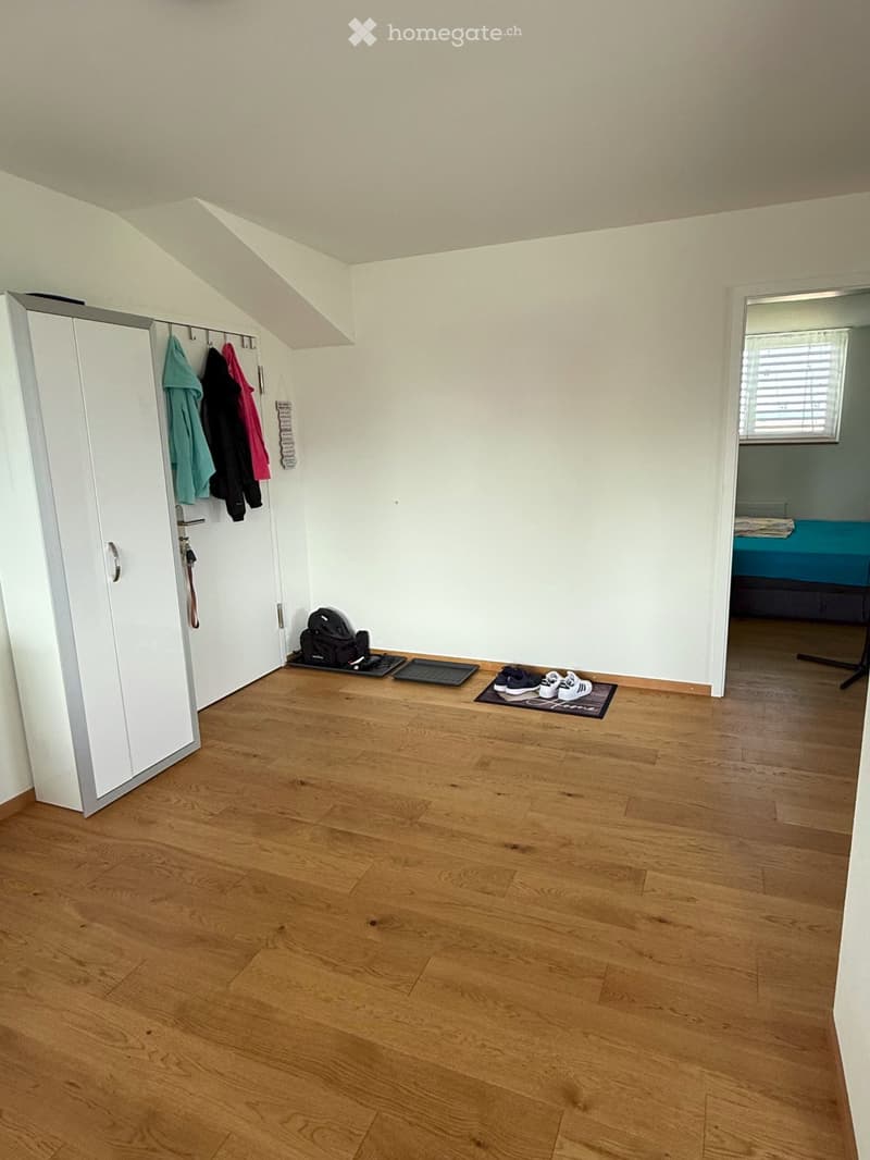 Neuwertige Dachwohnung mit Aussicht (3)