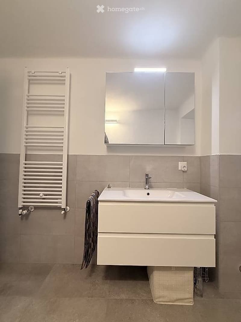 Subentro stanza in ampio appartamento condiviso a Lugano (4)