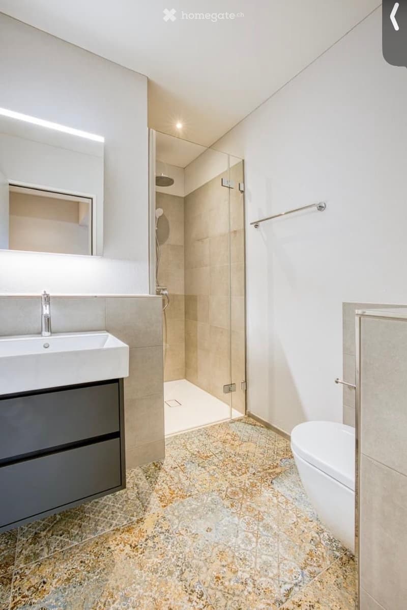 4.5 Zimmer Wohnung zur Vermieten (3)