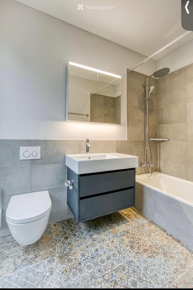 4.5 Zimmer Wohnung zur Vermieten (4)