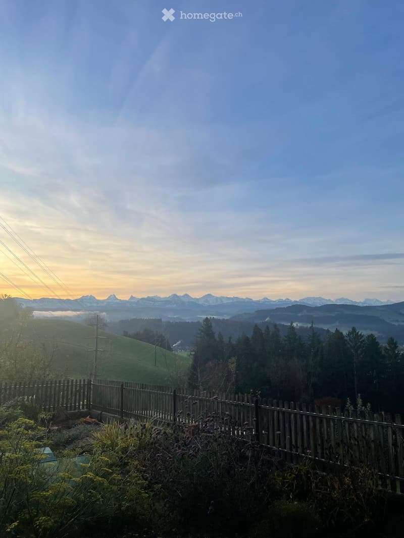 Wohnung auf dem Land, mit Aussicht (1)