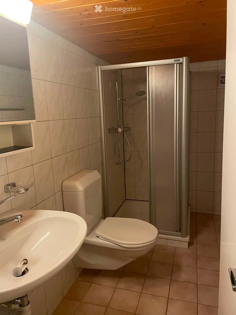 Wohnung auf dem Land, mit Aussicht (3)