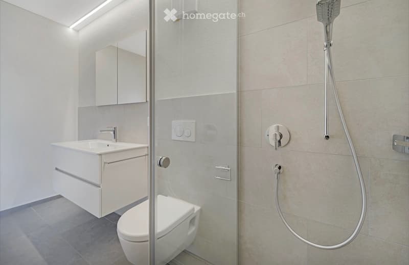 Nachmieter gesucht : 3.5 Zimmer-Wohnung EG (4)