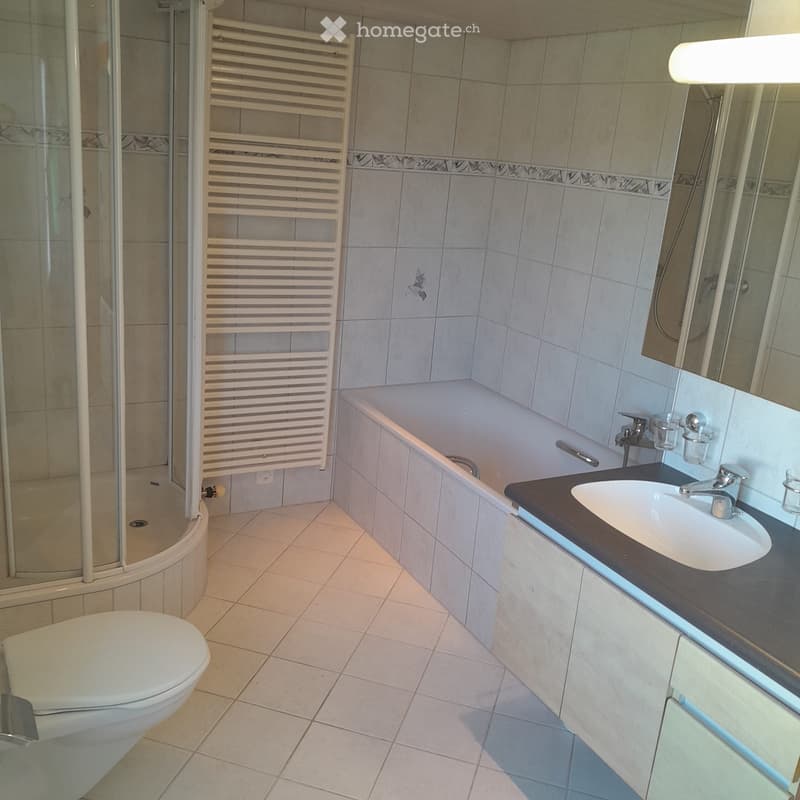Haus in Wigoltingen zu vermieten (3)