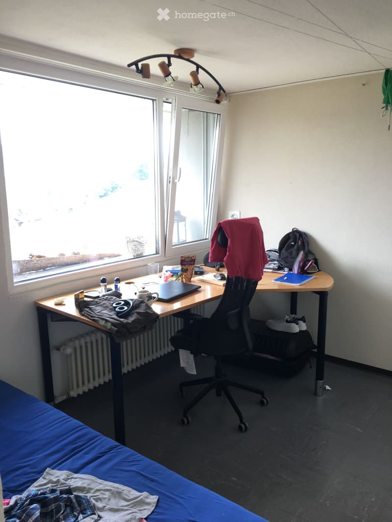 WG Zimmer / MitbewohnerIn im grossen Haus (1)