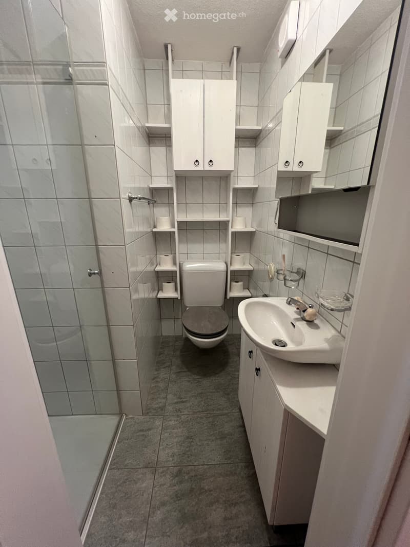 4.5 Zimmer Wohnung (2)