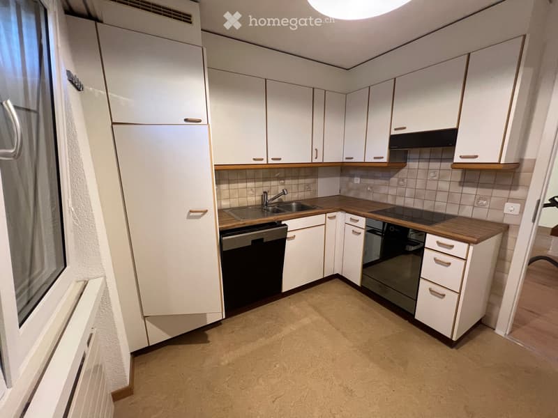 4.5 Zimmer Wohnung (3)
