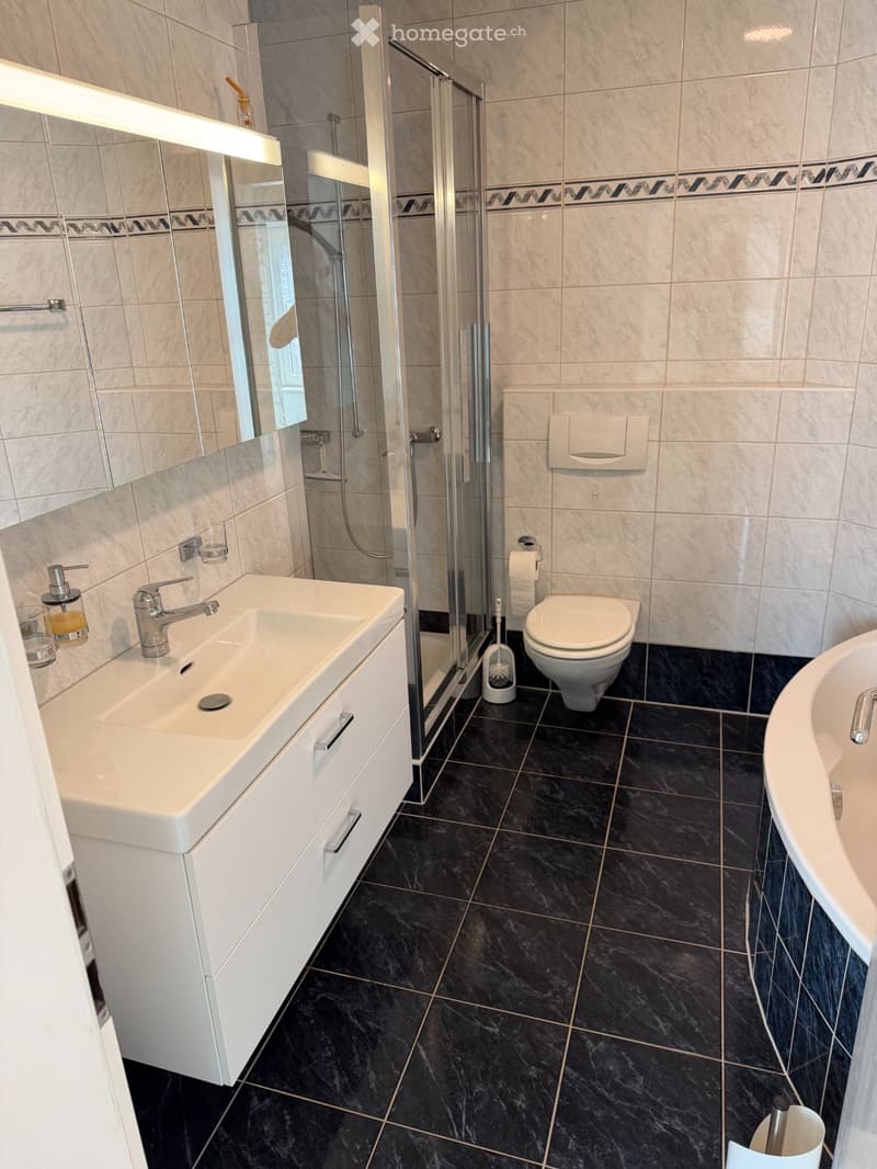 3.5 Zimmer Wohnung (5)