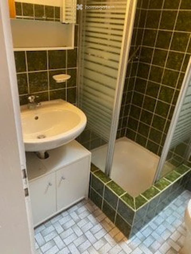 3.5 - Zimmerwohnung (3)