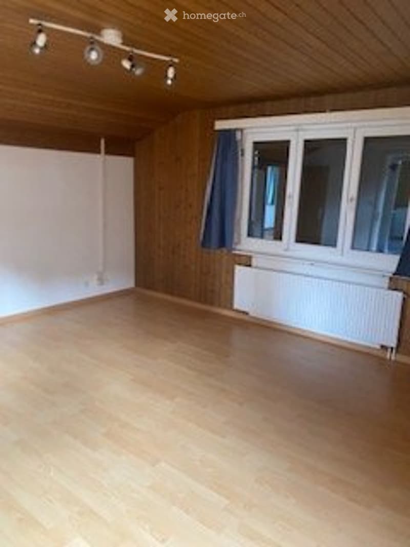 3.5 - Zimmerwohnung (2)