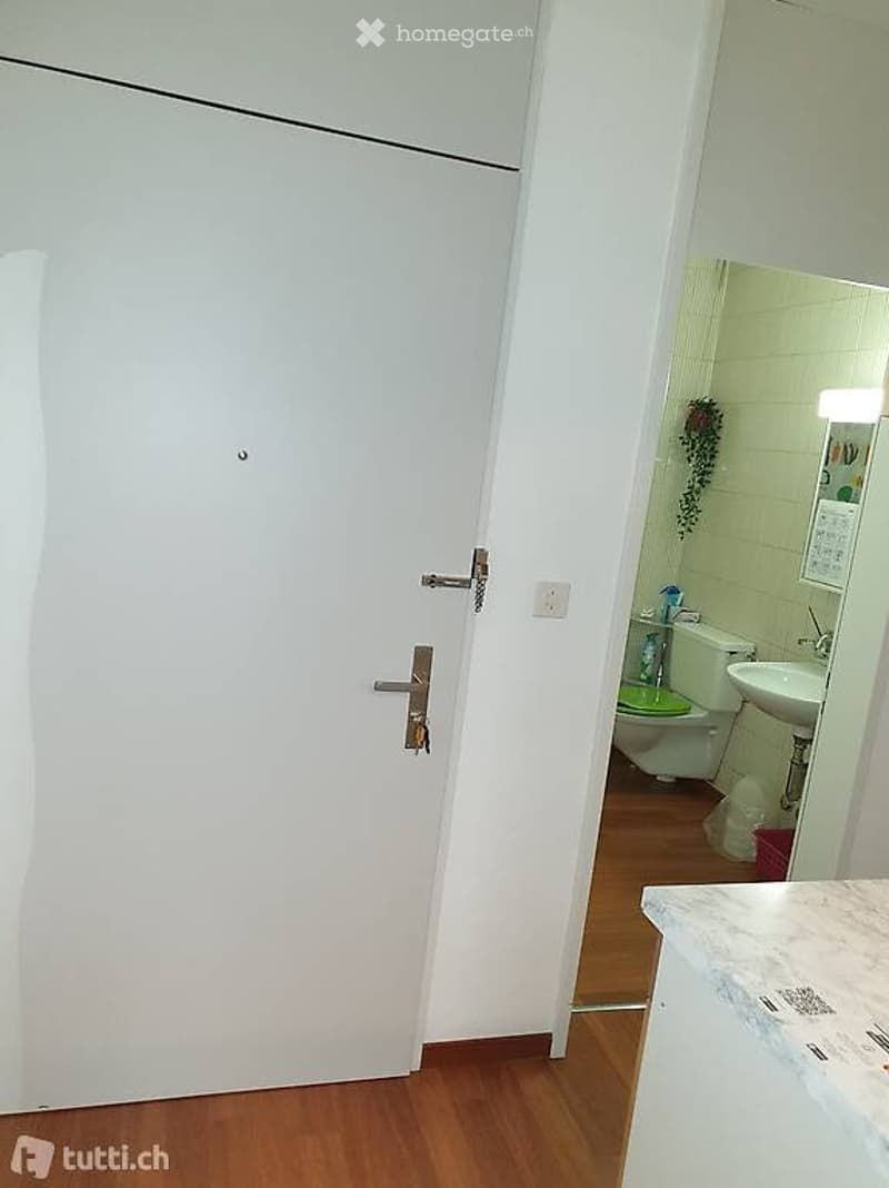 Genial Zentral - 1.5 Zimmer zu vermieten (4)