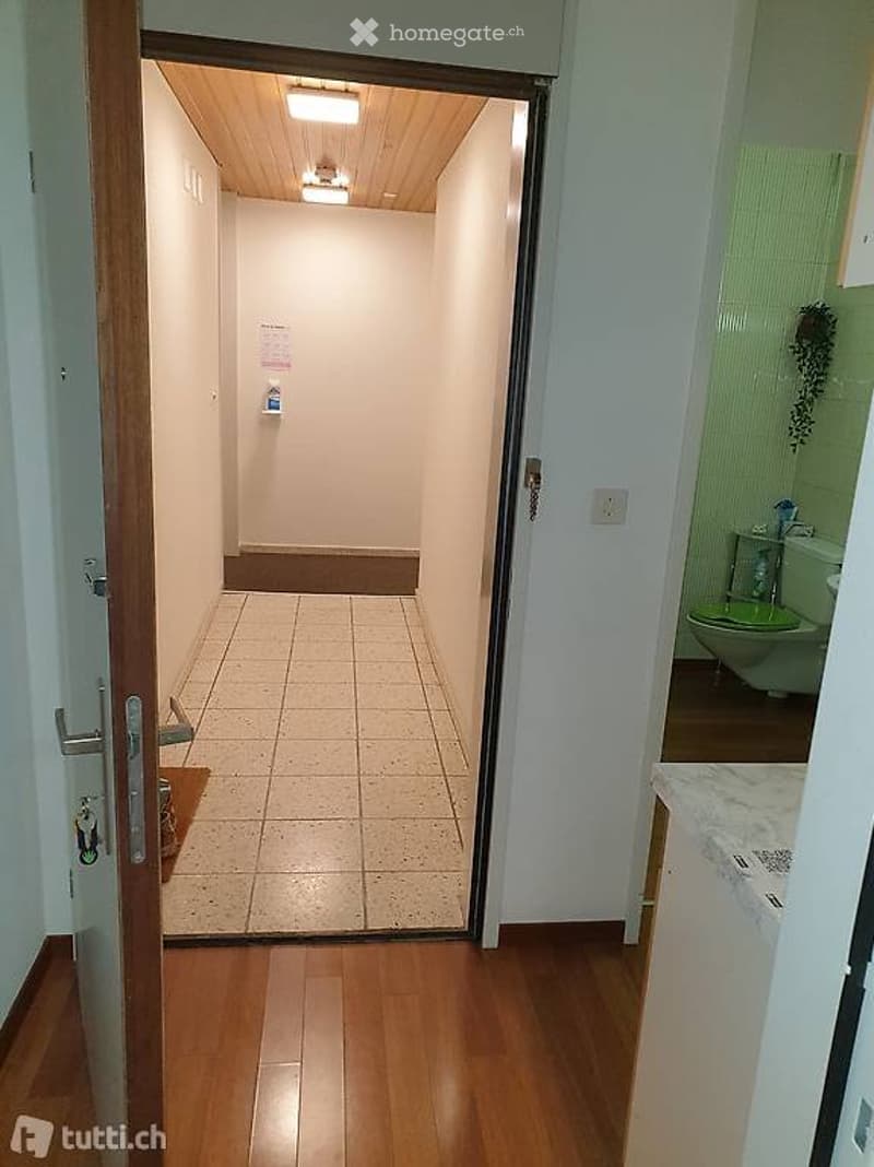 Genial Zentral - 1.5 Zimmer zu vermieten (5)