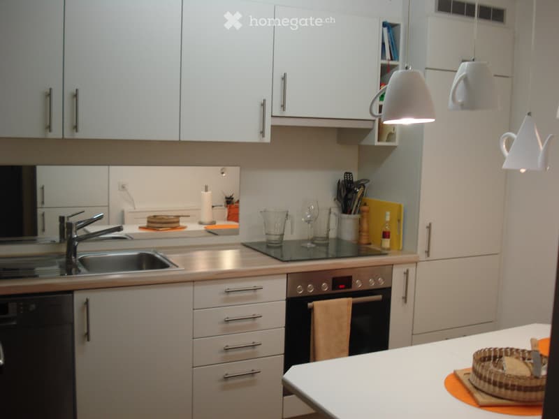 Zu vermieten schöne 3.5 Zimmerwohnung in Würenlingen (1)
