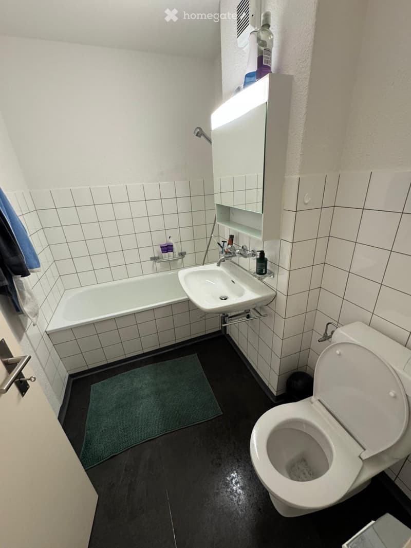 1.5 Zimmer Wohnung mit Balkon (3)