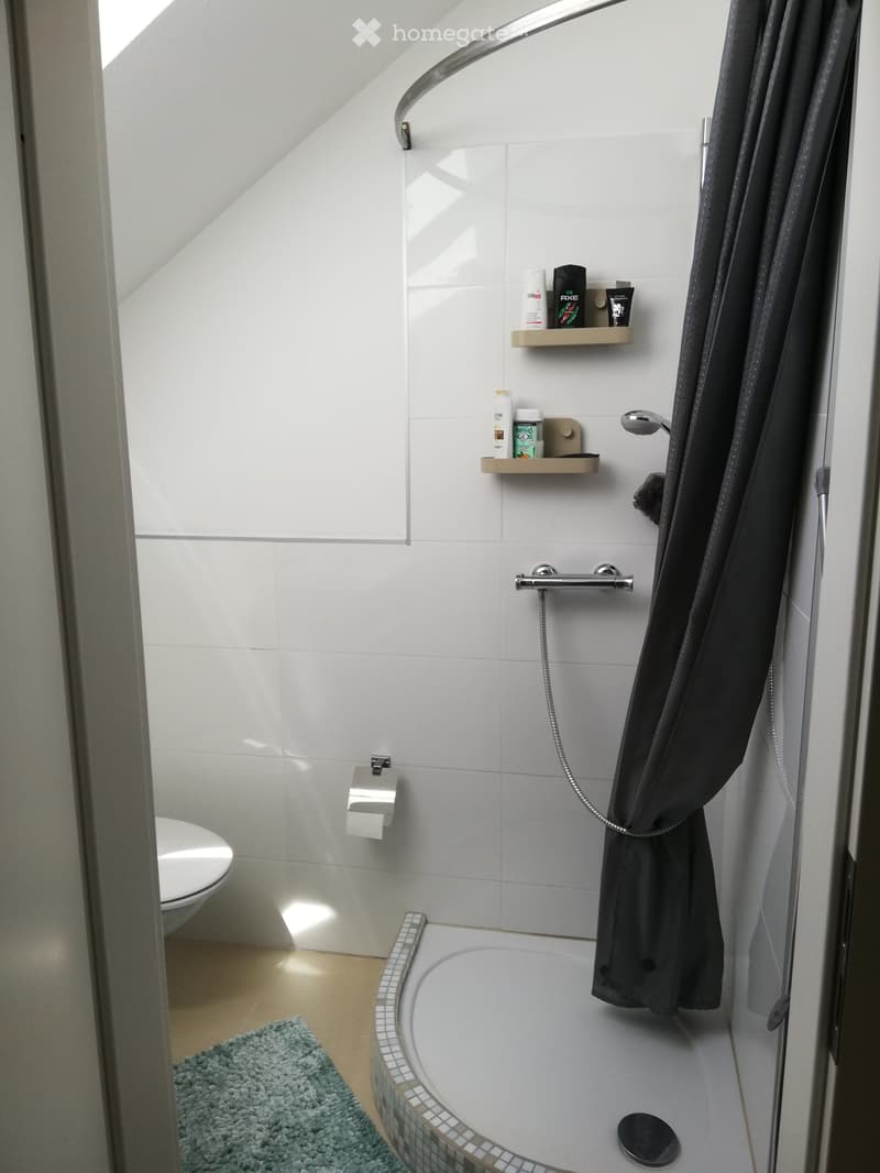 Wohnung mit 2 Etaggen (2)