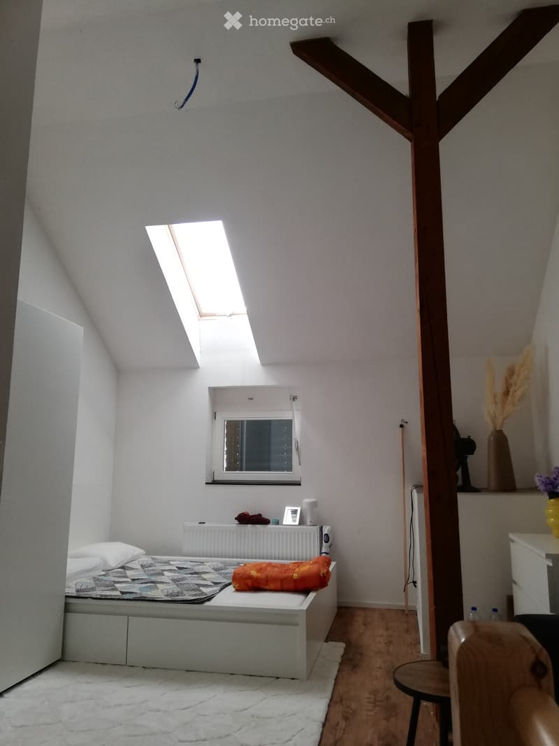 Wohnung mit 2 Etaggen (4)