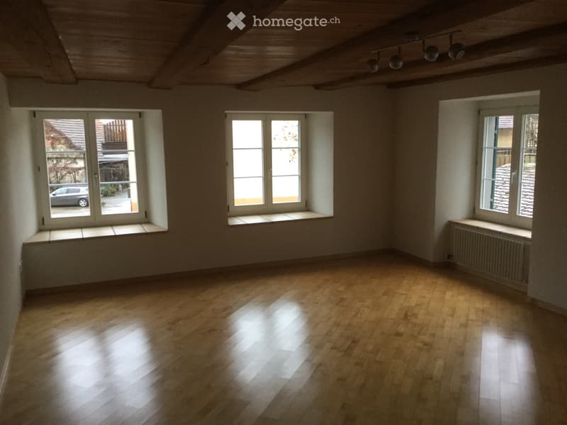 Schöne 3,5 Zimmer Wohnung (3)