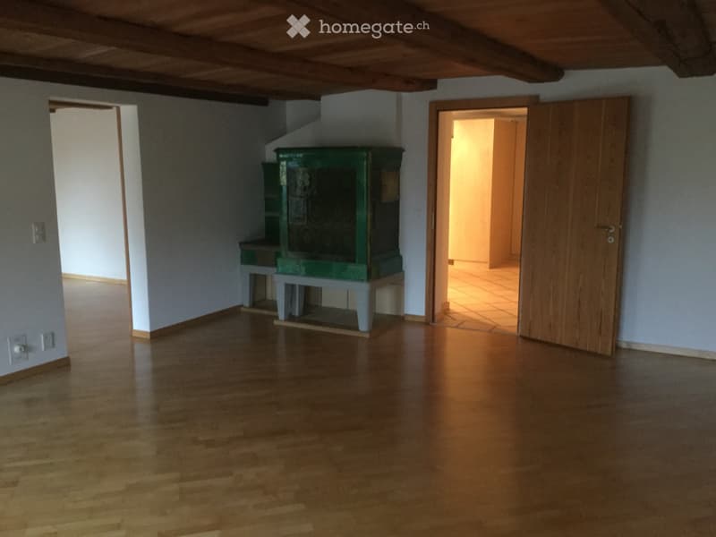 Schöne 3,5 Zimmer Wohnung (2)