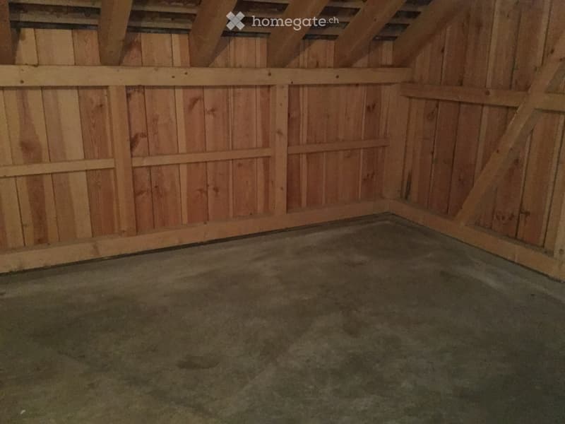 Schöne 3,5 Zimmer Wohnung (5)