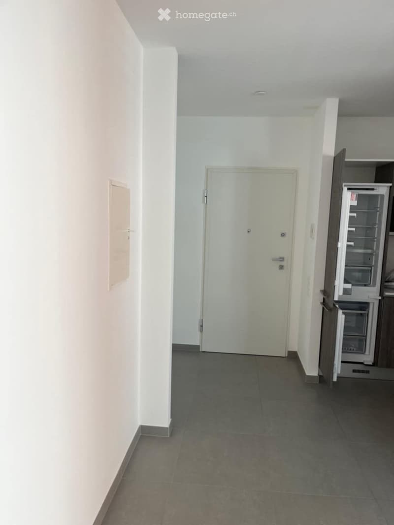Subentro Luminoso 2.5 locali a Lugano Molino Nuovo (2)