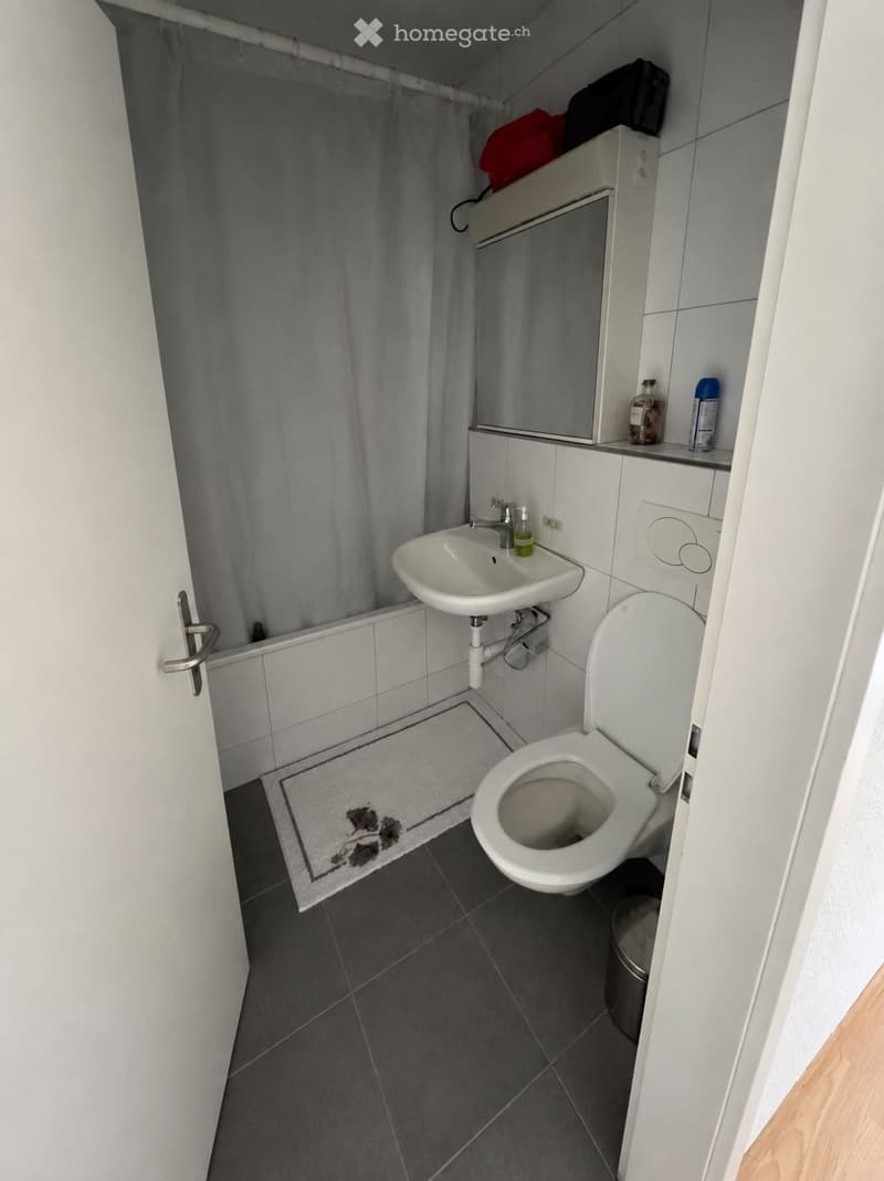 3.5Zimmerwohnung ab 01.10.26 (5)