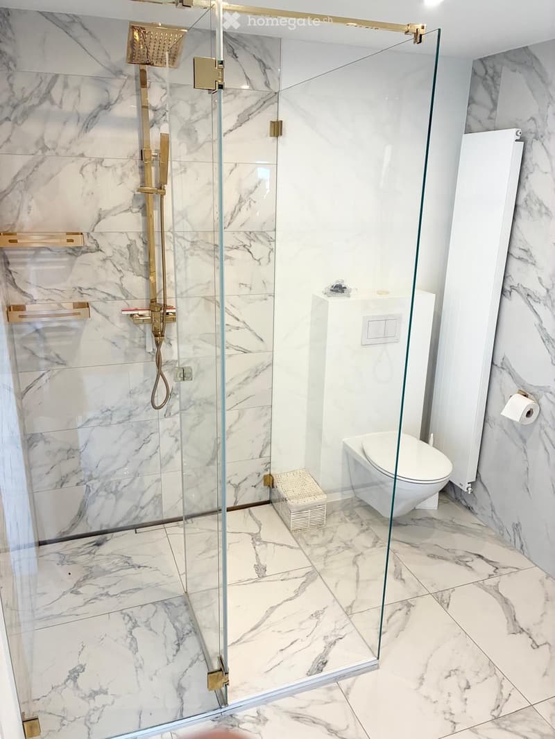 Charmante 3.5-Zimmer-Attikawohnung in Allschwil (5)