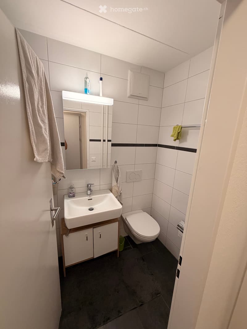 ++WG Zimmer frei++ helle möbilierte Wohnung mit Balkon EG (5)