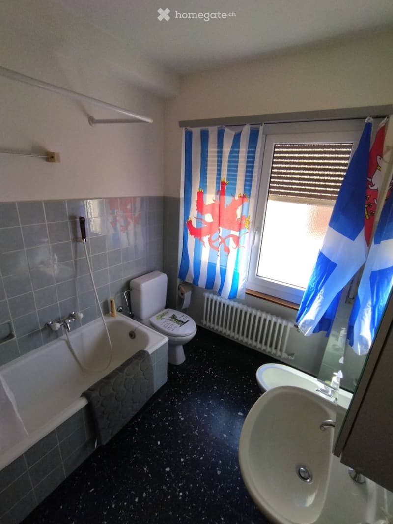 Cercasi subentrante - 2.5 locali a Bellinzona (3)